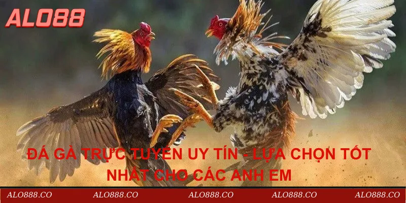 đá gà trực tuyến uy tín