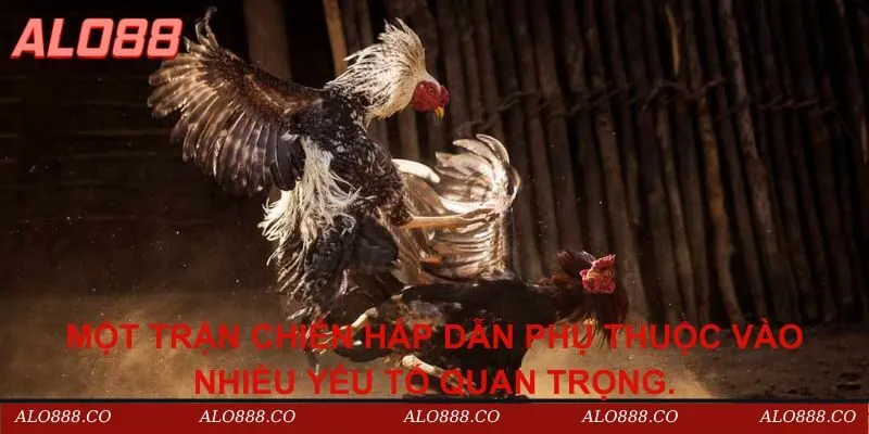 Một trận chiến hấp dẫn phụ thuộc vào nhiều yếu tố quan trọng