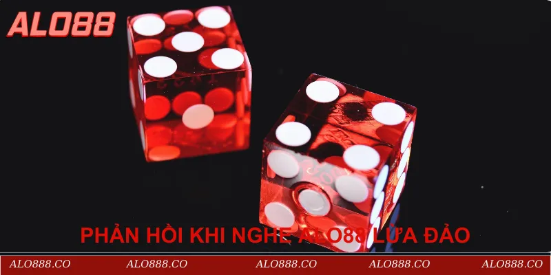 Phản hồi từ người dùng khi nghe Alo88 lừa đảo