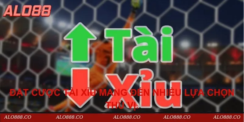 Đặt cược Tài Xỉu mang đến nhiều lựa chọn thú vị