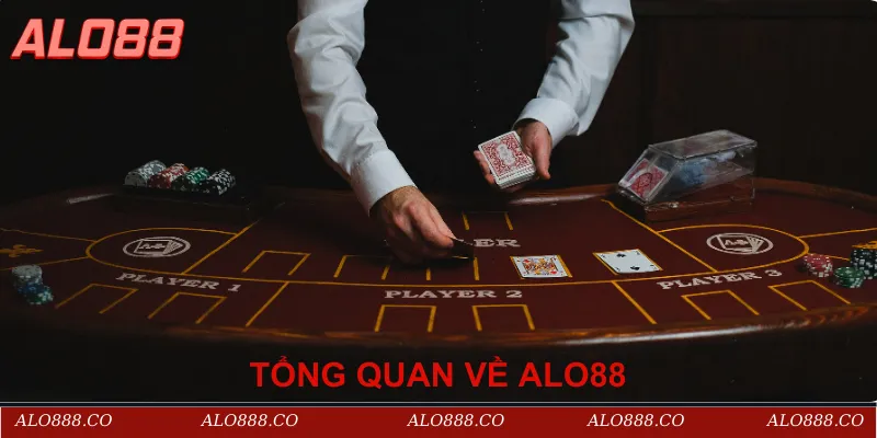 Tổng quan về Alo88